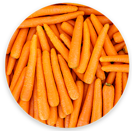 carottes 