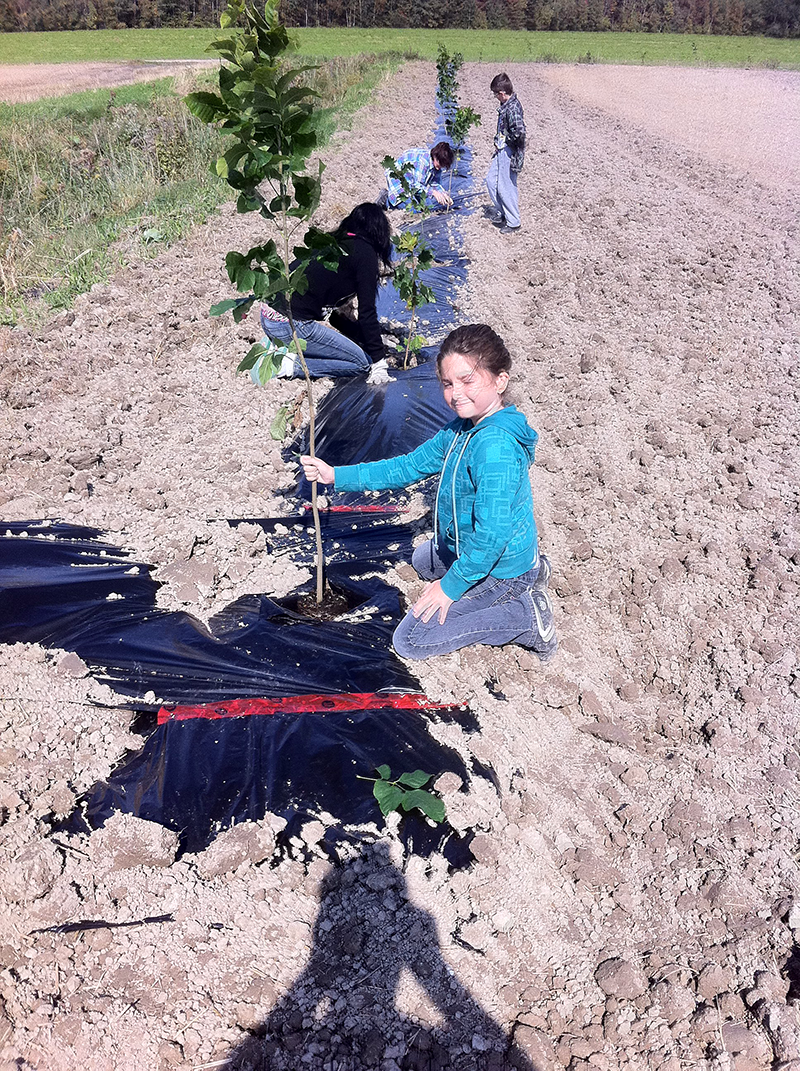 JPL Maraîcher participe activement à la plantation d’arbres